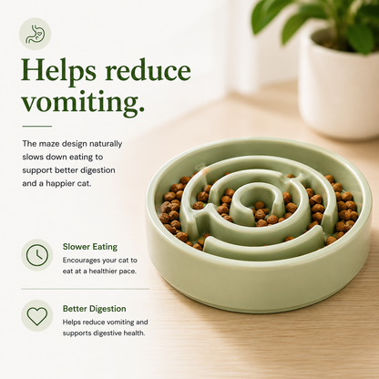 Hearth Bowl Ceramic Gentle Feeder