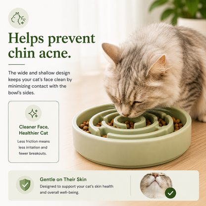 Hearth Bowl Ceramic Gentle Feeder