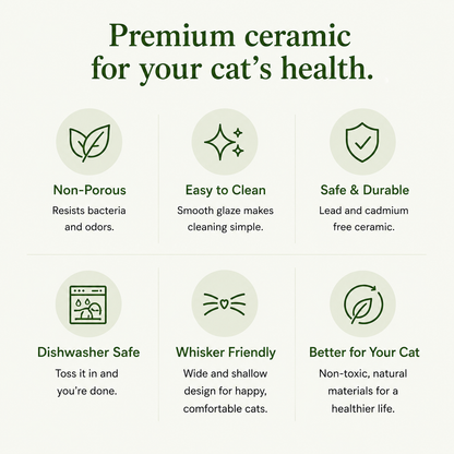 Hearth Bowl Ceramic Gentle Feeder