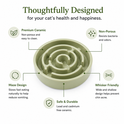 Hearth Bowl Ceramic Gentle Feeder