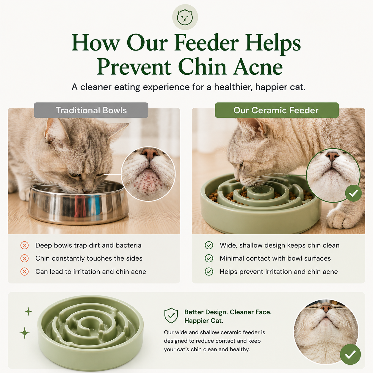Hearth Bowl Ceramic Gentle Feeder